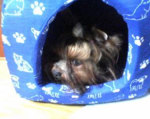 c0031582_17143022.jpg