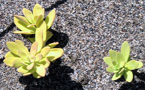 c0016987_19133377.jpg