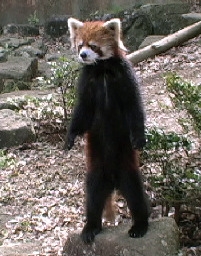 c0032891_22115499.jpg