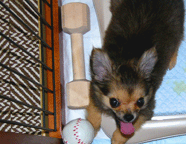 e0009391_12153330.gif
