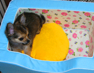 e0009391_1571679.gif