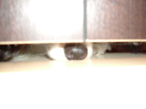 c0044199_21132839.jpg