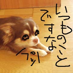 c0036617_7594911.jpg