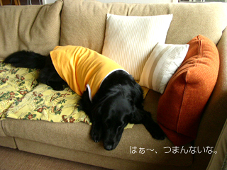 c0012120_042630.jpg