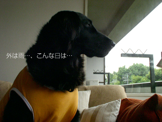 c0012120_043845.jpg