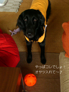 c0012120_053130.jpg