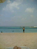 b0035324_17474562.jpg