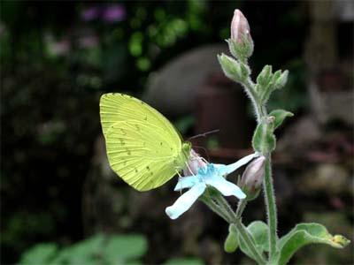 d0029829_172449.jpg