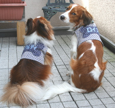 d0013149_235220100.jpg