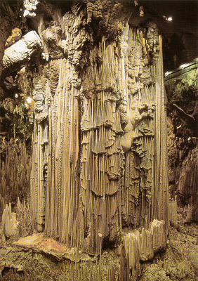 c0009070_5191016.jpg