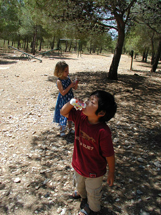 c0009070_727127.jpg