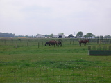 e0019280_16401241.jpg