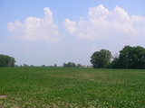 e0019280_1642930.jpg