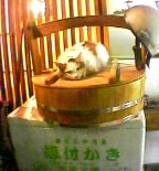 a0019723_18305190.jpg