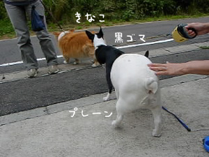 e0008833_1658121.jpg