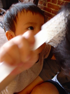 c0027939_94665.jpg