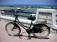 a0021540_2354070.jpg