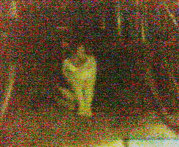b0024958_12312286.jpg