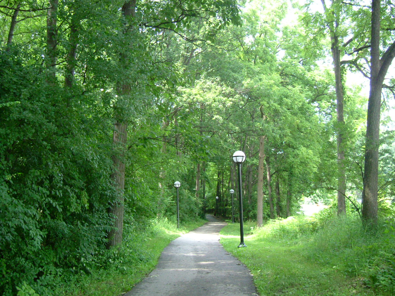 e0011097_11561313.jpg