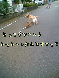 d0046905_132332.jpg