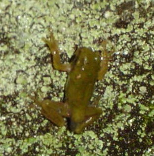 a0030715_943370.jpg