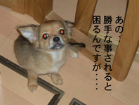 c0009516_0491780.jpg