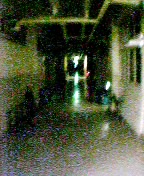 c0048144_23475821.jpg