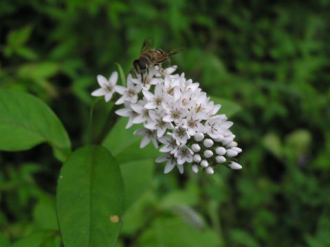 c0042869_21123050.jpg