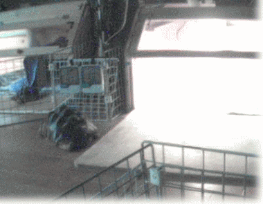 b0055276_23465833.gif
