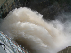 a0011999_2257524.jpg