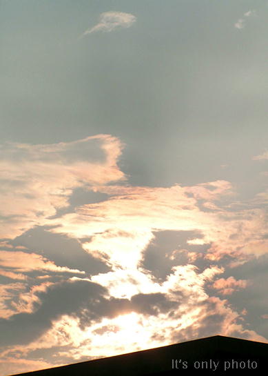 e0008800_2351141.jpg