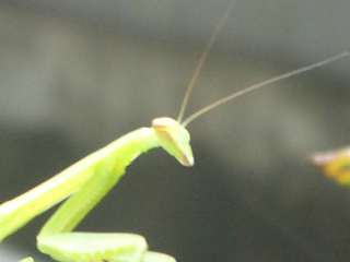 b0061107_8451841.jpg