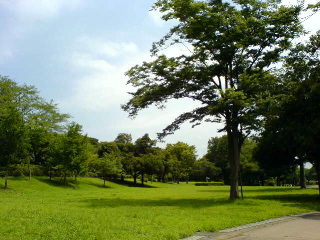b0058816_19394512.jpg