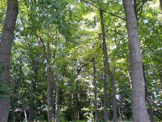 b0058816_19462045.jpg