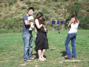 b0035453_1529521.gif