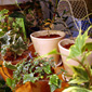 d0029958_18151639.jpg