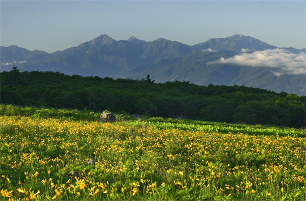a0023460_8522578.jpg
