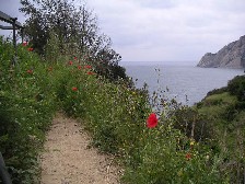 c0032863_21212074.jpg