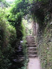 c0032863_21225854.jpg