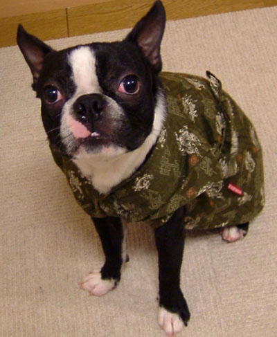 c0032567_01272.jpg