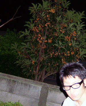 c0032567_03098.jpg