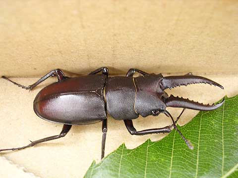 d0019169_1362974.jpg