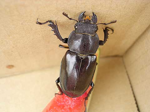 d0019169_1365947.jpg