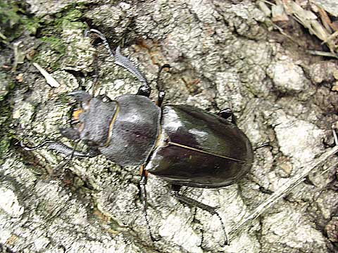 d0019169_1392134.jpg