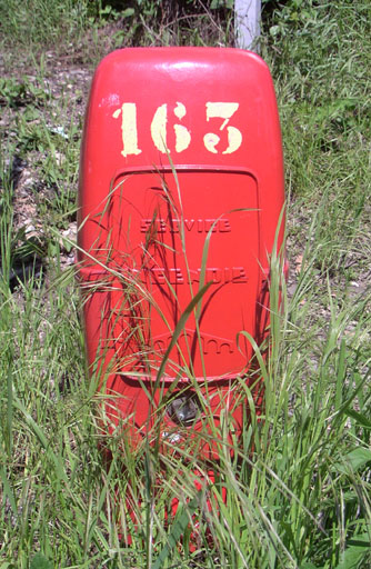 b0038588_21373067.jpg