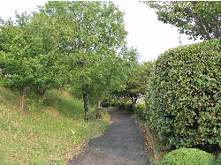 c0036203_19253759.jpg