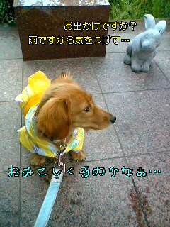 d0046905_2354853.jpg