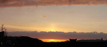 c0000134_11394746.jpg