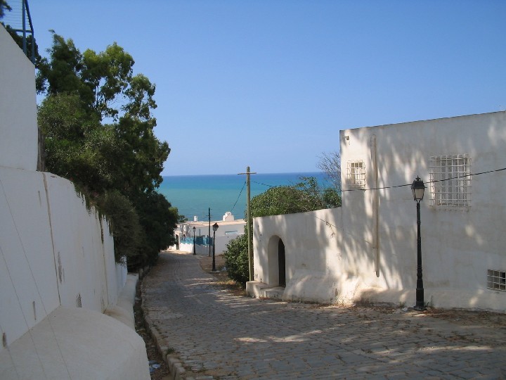 c0051938_73179.jpg