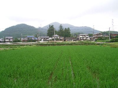 c0072843_4282043.jpg